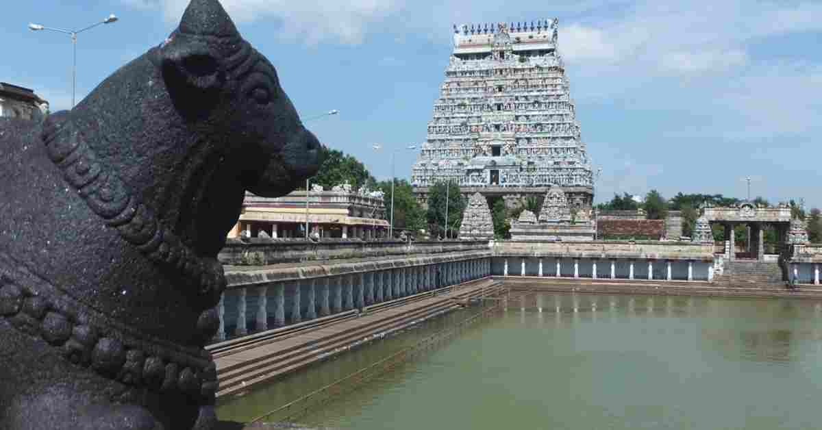 image of nandi and Thillai Nataraja Temple in Chidambaram